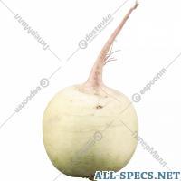 САА Фрут Radish blanc 1 kg
